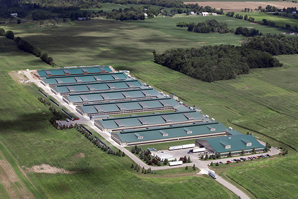 Zhuhai Silver Stream Co.,Ltd