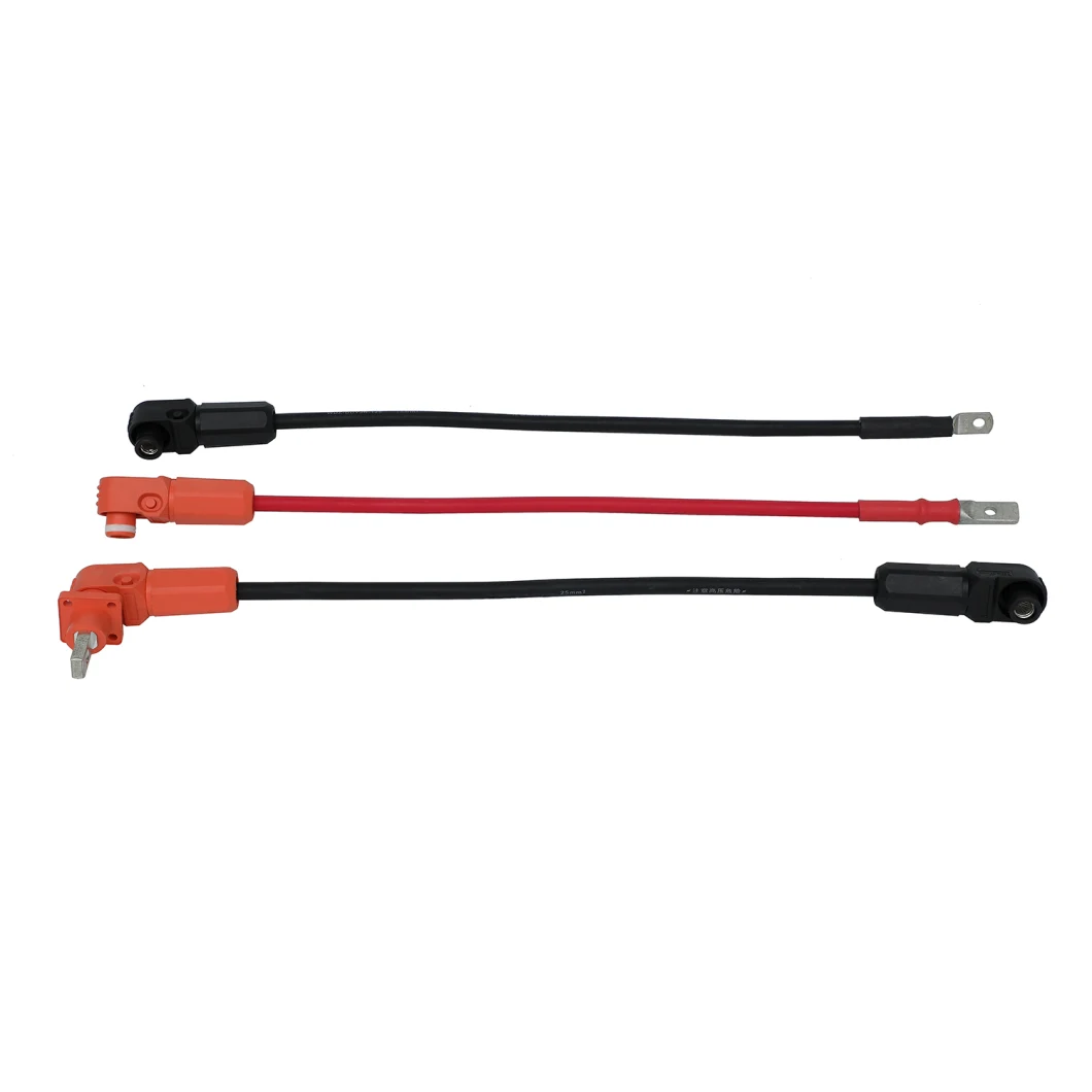 200A/300A 350A DC Power Ess Connection Cable Solar Wire Harness with Factory Price