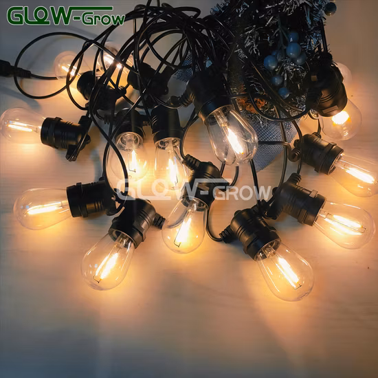 Cool White Outdoor Waterproof Festoon Light Christmas LED Vintage Edison Bulbs String Light for Home Garden Yard Hanging Decoration