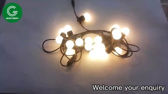 Holiday Use IP65 G45 LED Bulb String Light Festoon Light for Christmas Decoration